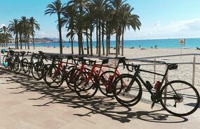 TopBikes Rental - Tours & Experience